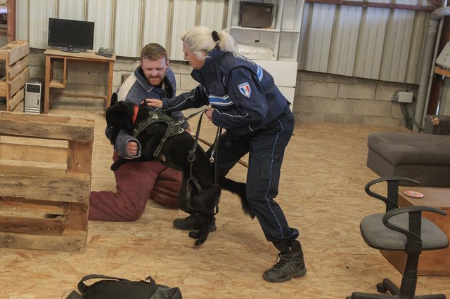 Le formateur du centre des Torrières à Neufchâteau simule des situations d’intervention pour le maître-chien Cathie Petit et son berger allemand Lilith.