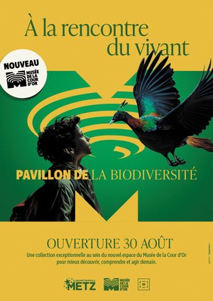 Affiche de l'ouverture du pavillon de la biodiversité et de la 6e extinction au musée de la cour d'or de l'eurométropole de Metz