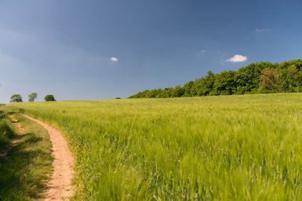balade sur le mont saint germain