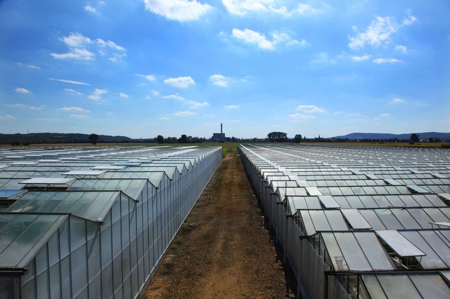 les grandes serres vues de l'extérieur