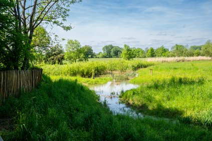 La Seille, parc du séminaire Saint Paul à Cuvry