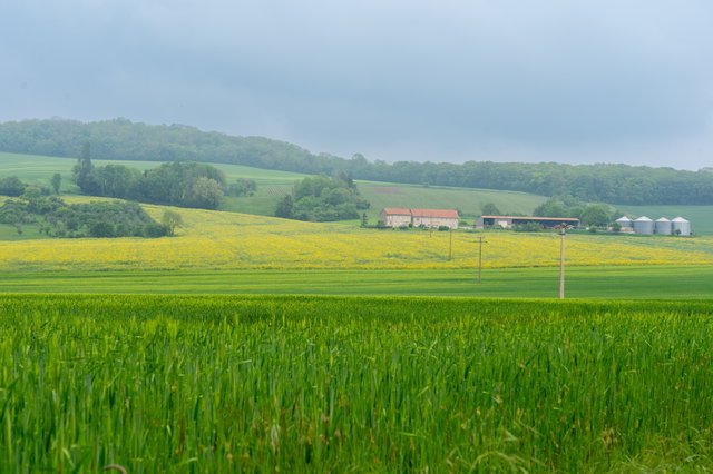 Mont Saint Blaise à Augny