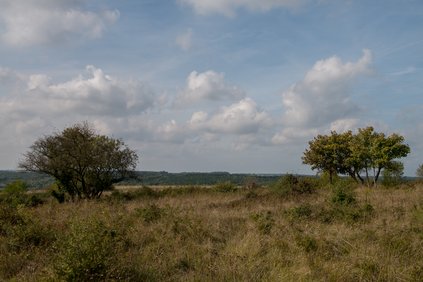Mont saint quentin et ses pelouses calcaires